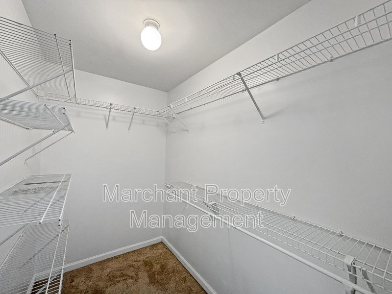 311 Pampas Court property image