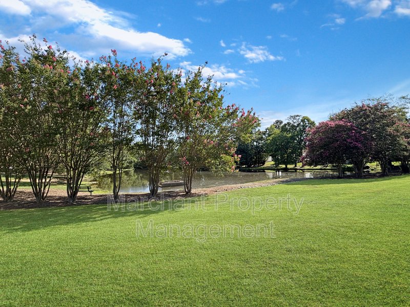 1 Appleton Lane property image